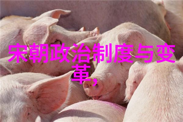 元朝沉默揭秘历史之谜与遗忘的原因