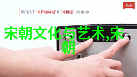 历史探究-风雨变局揭秘谁把宋朝灭亡的
