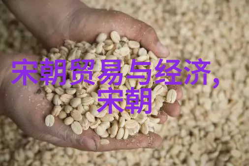 宋代历史事件北宋灭亡与金国的兴起