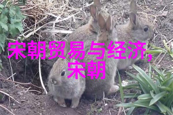黄梅戏韩再芬程学勤的旋律之旅