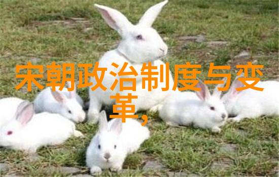 纷争末日明朝的覆灭与遗迹