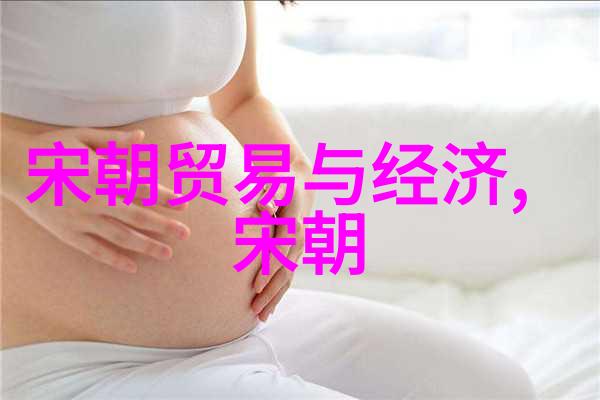 明朝大全龙凤盛世的华章