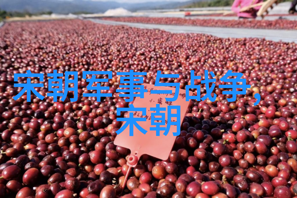金辉煌都元朝都市的绚烂篇章