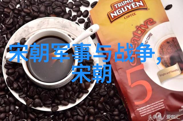 明朝煌烂史实大航海与文人墨客