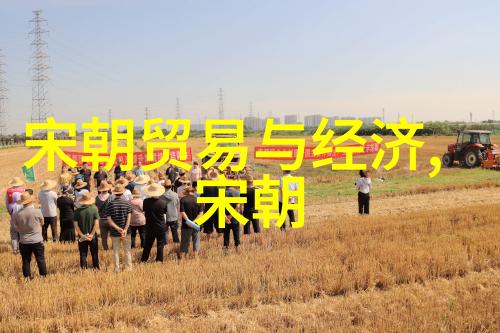 明朝盛世绚烂繁华年间的文化与经济奇迹
