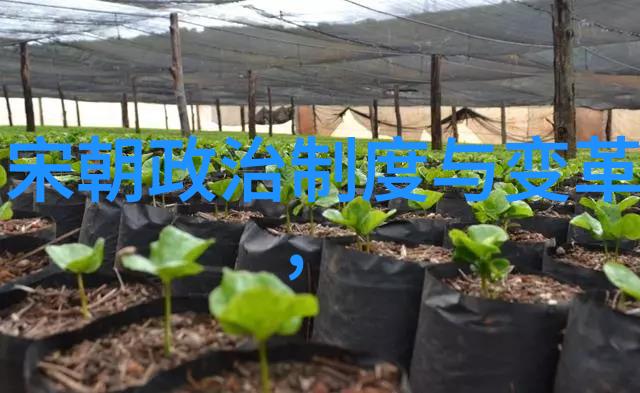 寂灭万乘深度解析探索生命价值与宇宙存在的哲学奥秘