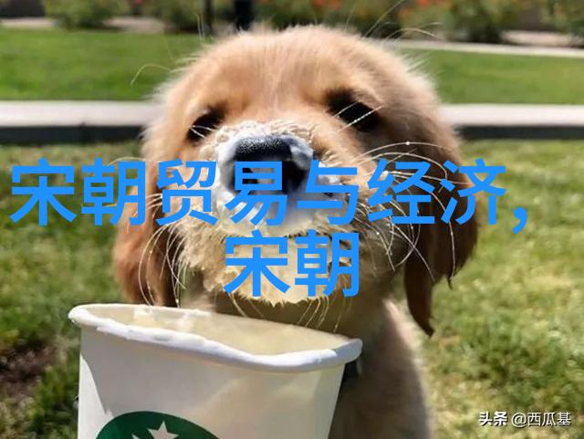 什么是一切艺术形式普遍画卷里跳跃的灵魂揭秘每种艺术都有的共鸣之处