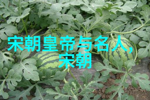 我是歌手赵雷全部视频你知道吗