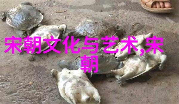 历史的朝代顺序排列我来给你讲讲那些年往事了