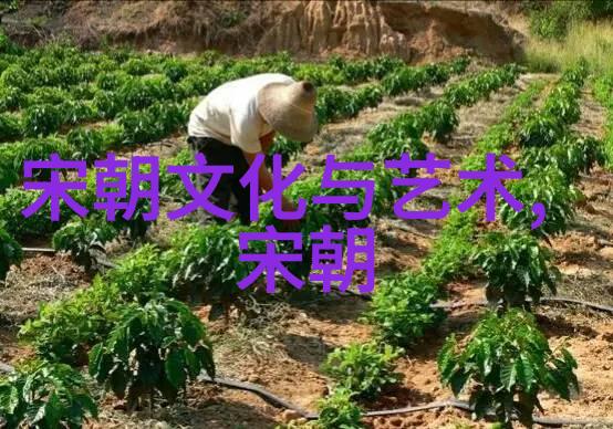 铁血交锋土木堡之战的悲壮瞬间