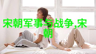 南宋和北宋的历史资料-解读两宋时期的文献遗产从史料到知识体系