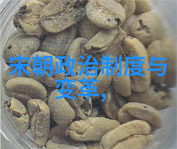 岳飞之死与靖康之耻历史悲剧的交织与背后原因探究