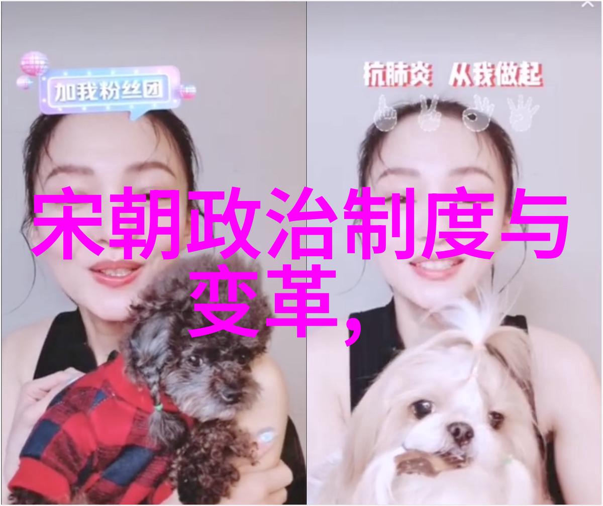 北周隋朝从北周到隋朝中国历史的转折点