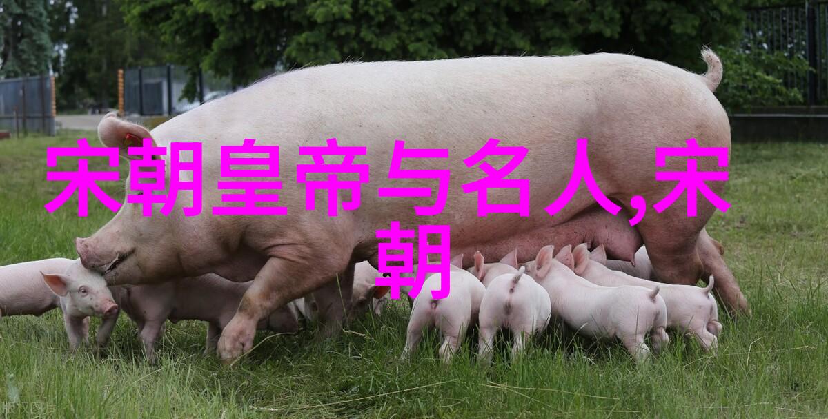 明军覆没土木堡之战的悲剧序幕