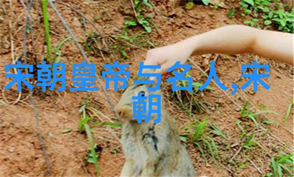 中国艺术风华探索各地独特艺术形式