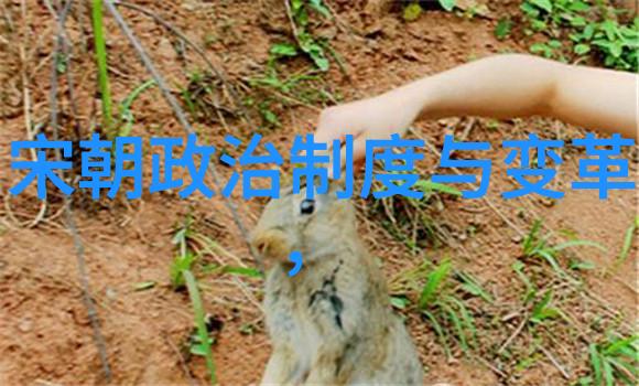 他的军事才能和策略是怎样的