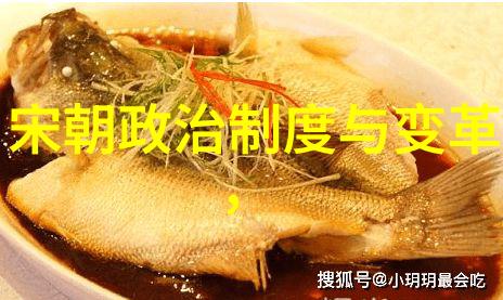 探索明朝揭秘历史的最佳读本