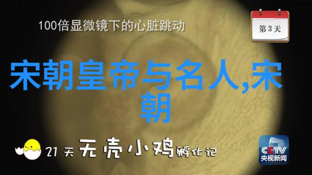 解读大明王朝映射问题历史重塑与文化认同的界限探究