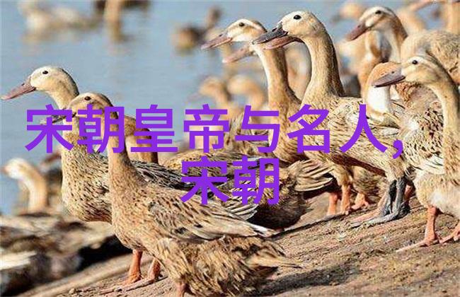 时光倒流探秘明朝那些事的传奇