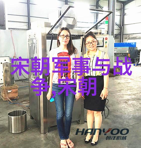 大明开国元朝覆灭的历史原因探究