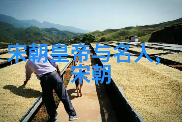 南明朝顺序列表 - 南明政权的兴衰历程简介