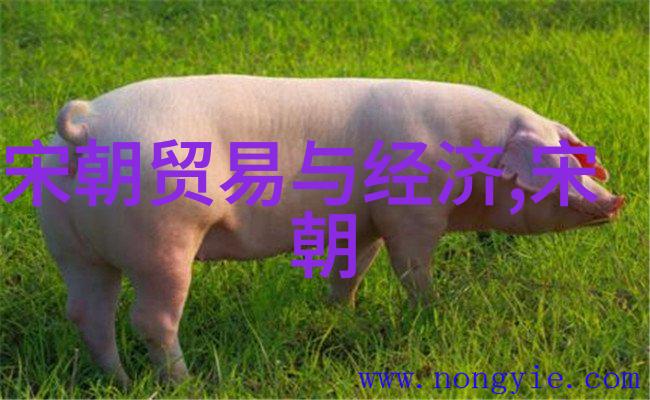 小豆蔻小说全文阅读我是如何在网上找到了那本神秘的小说