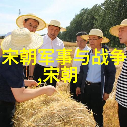 南宋江山倾覆的悲剧与英勇抗争