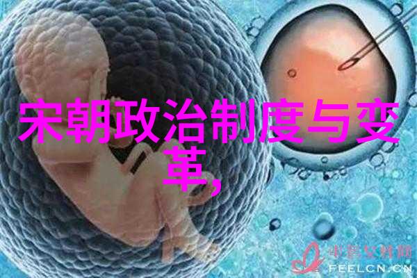 明朝那些事读书心得100字-穿越历史的篇章明朝风云与我心得