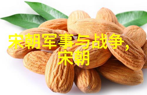 明朝设立南京为都明朝的都城变迁