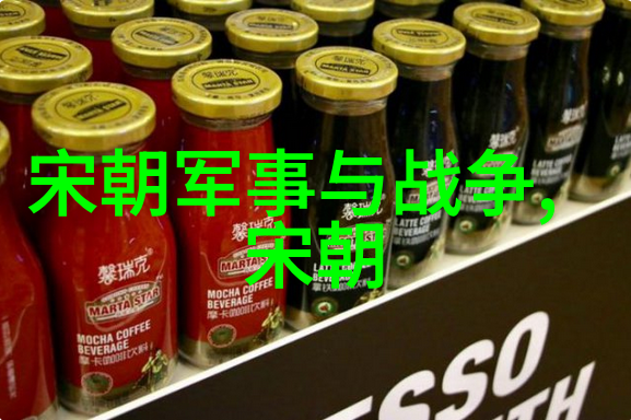 元朝真正灭亡时间我亲眼看了它的末日探秘元朝的最后一刻