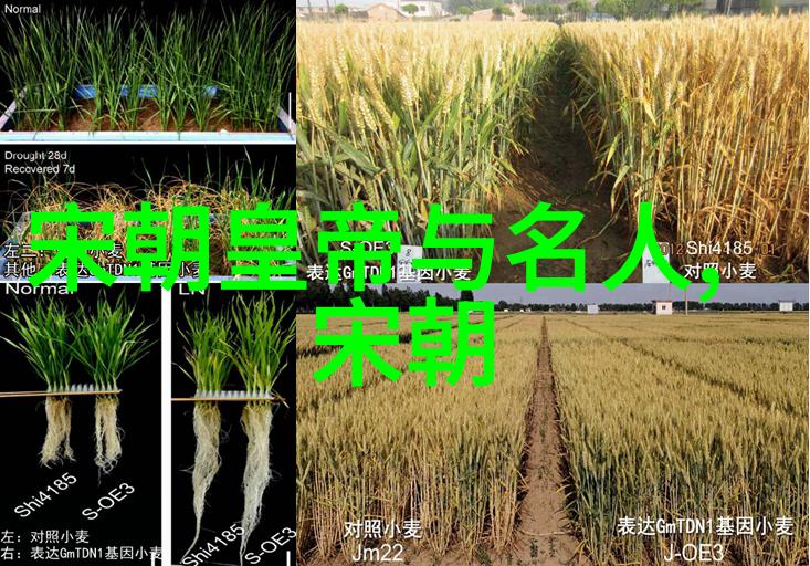 中国历史的长河从秦始皇统一六国到清朝覆灭的兴衰交错