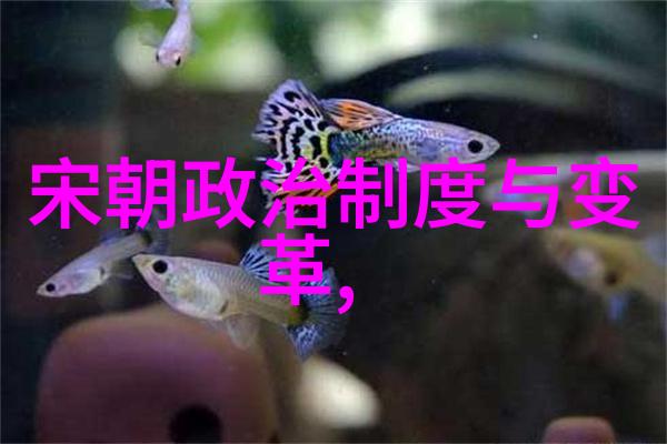 明朝历史叙述与现代数字阅读的结合探索明朝那些事儿小说的免费阅读现象及其文化意义