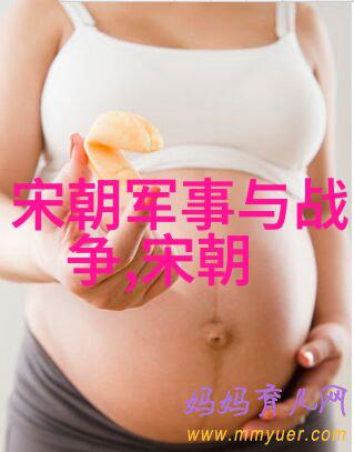 唐高祖李渊与隋炀帝的政治联姻与后续影响唐朝开国之父与隋末民变的复杂关系