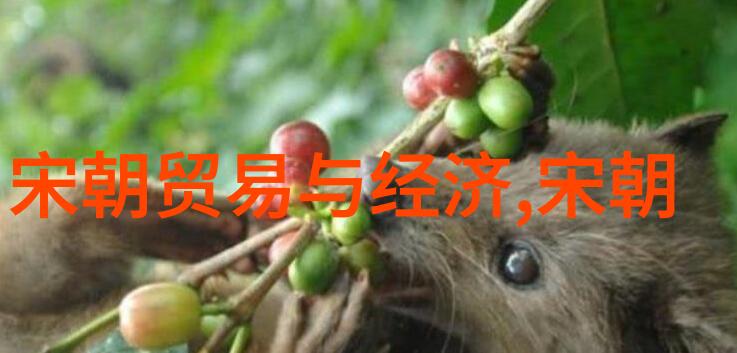 明朝历史探秘揭开古都沉默的篇章