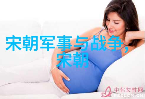 为何那么多专家吹宋朝我是怎么听专家们一遍遍夸赞宋朝的