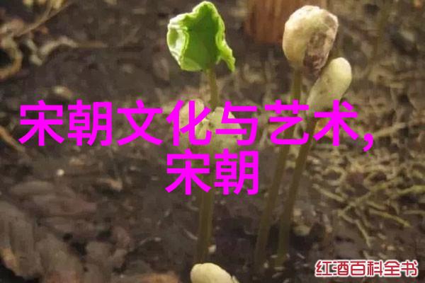 唐高祖李渊和隋炀帝的关系咱们聊聊他们这段复杂的兄弟情谊