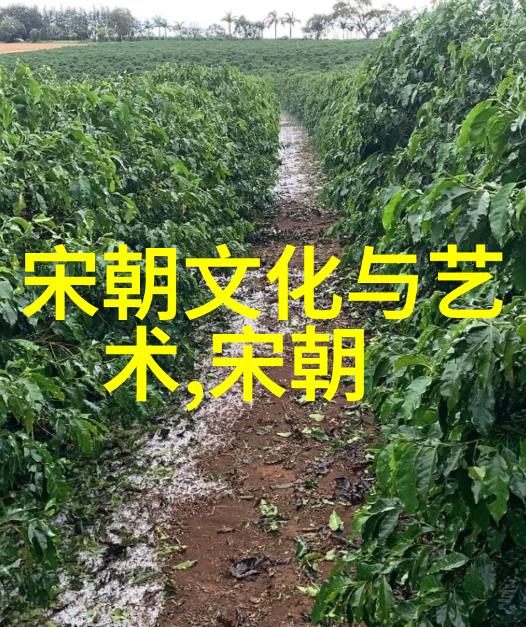 历史的面纱下36位巨星背后的秘密