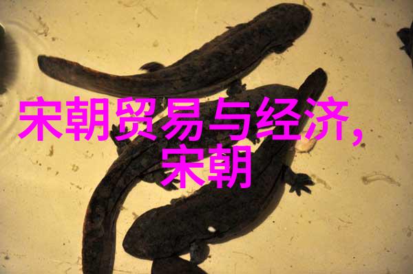 明朝那些事皇帝的秘密图谋与江湖中的暗杀者