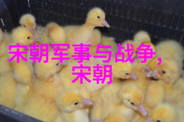 明朝的英宗朱祁镇历史称谓背后的权力与荣耀