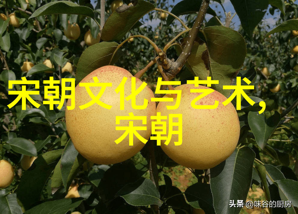 逆袭的梦想朱棣能否重拾辉煌