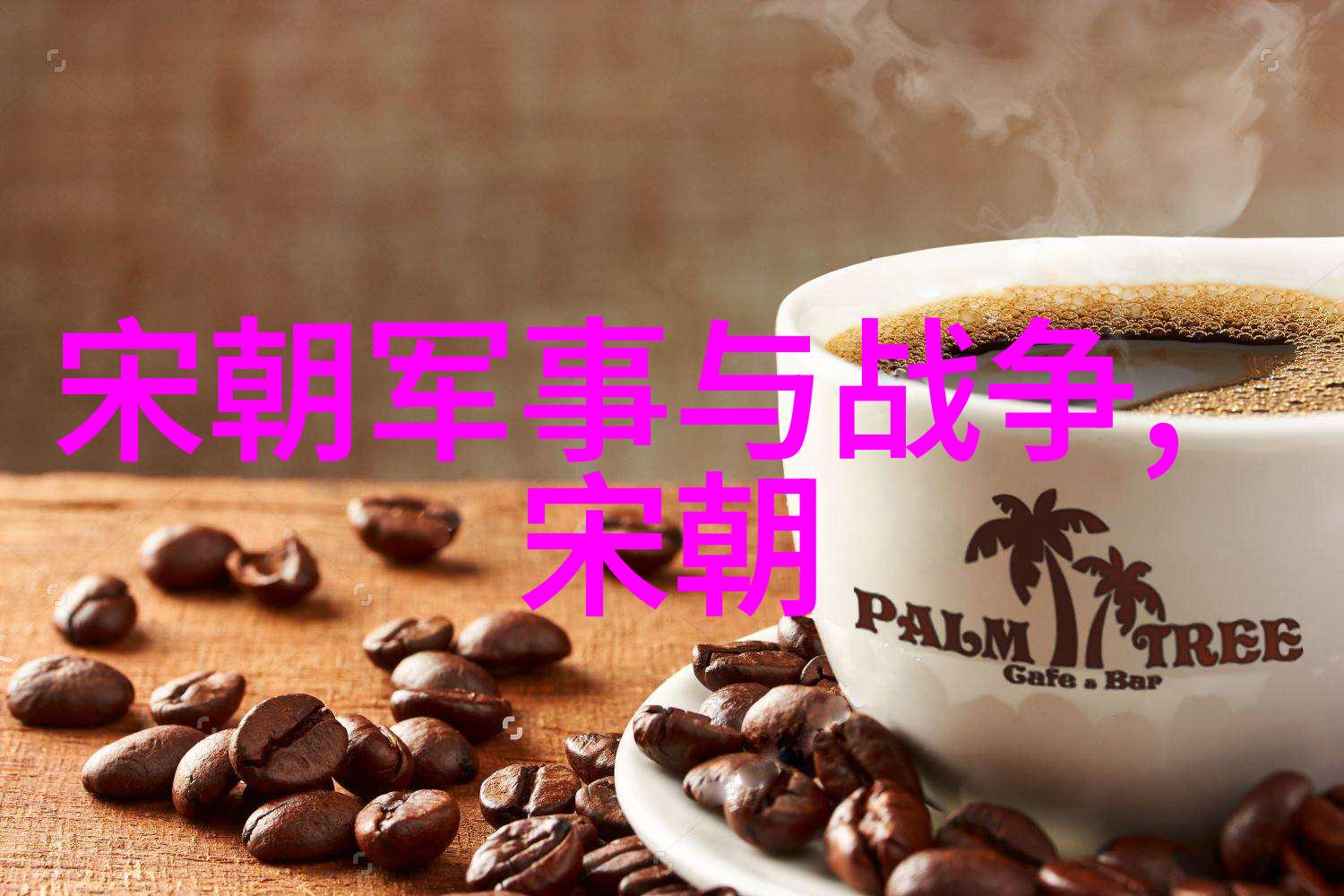 宋朝赵匡胤的太极拳套路之舞权谋与内力之间的戏剧性对决