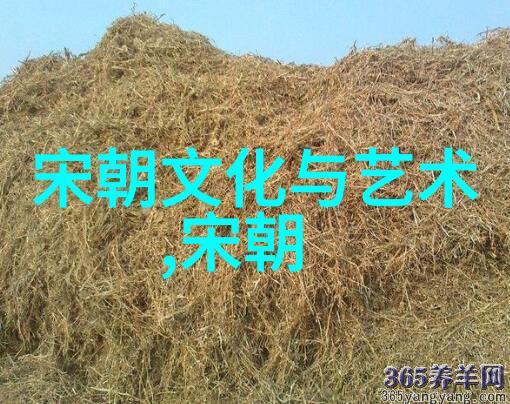 一张吓死人的清朝女子朱武的秘密面纱