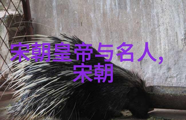 揭秘隐私探索迈开腿让我看看怎么c你背后的文化与心理