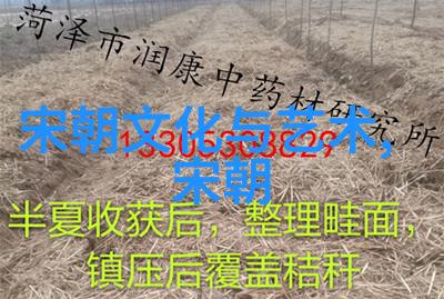 唐代的辉煌与梦想一句简明的历史概括背后的繁华世界