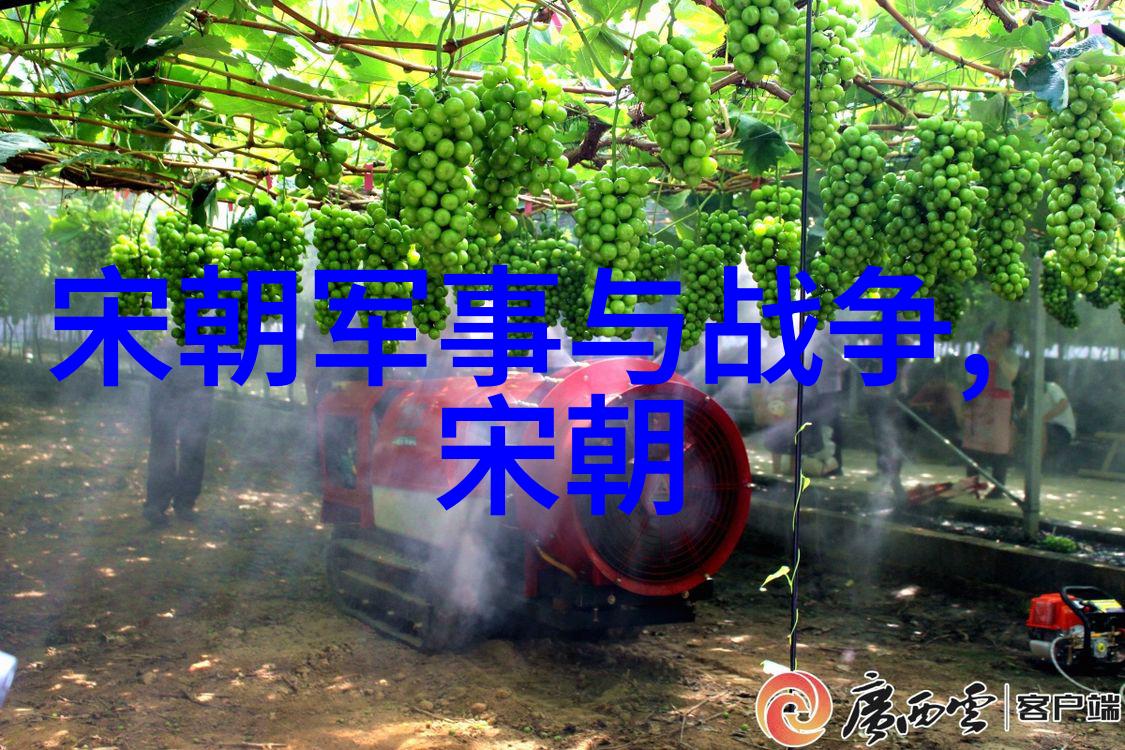 明末三大案-逆袭的边缘李自成张献忠与魏忠贤的悲剧