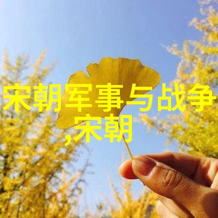 沉默的断裂元朝废止之谜