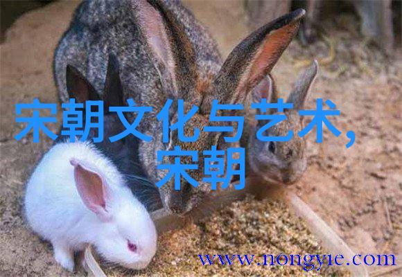 企业文化的系统性织梦者之网