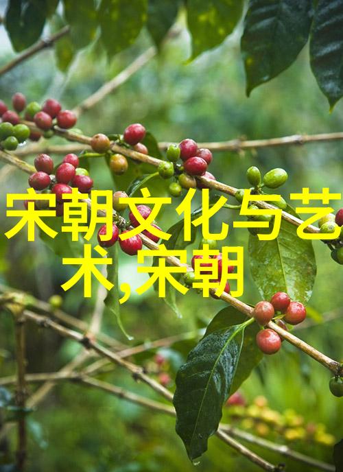 中国历史 - 从汉到清揭秘中国王朝实力排名的秘密