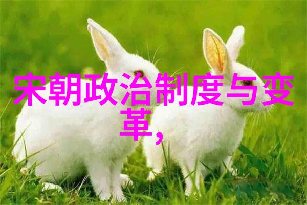 宋国民众生活在那段时间经历了哪些变化