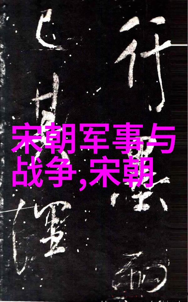 辽金史未入正史原因探究历史记载的选择与偏见